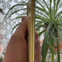iPhone 11 yellow ایفون|موبایل|تهران, ایران|دیوار