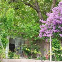 باغ ویلا نزدیک جاده اصلی ،صد متری شهر تیران|فروش خانه و ویلا|اصفهان, تیران|دیوار