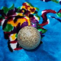 گوهر شب چراغ|جواهرات|تهران, میدان ولیعصر|دیوار