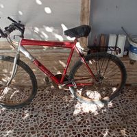 دوچرخه|دوچرخه، اسکیت، اسکوتر|بوشهر, |دیوار