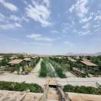 زمین کشاورزی ۸۴ هکتاری|فروش دفاتر صنعتی، کشاورزی و تجاری|اصفهان, آزادان|دیوار