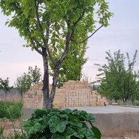 ۱۰۰۰ متر با سند ملکی|فروش زمین و کلنگی|مشهد, قاسم‌آباد (شهرک غرب)|دیوار