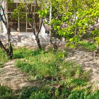 باغ ۲۰۰ متری|فروش زمین و کلنگی|اصفهان, جوزدان|دیوار