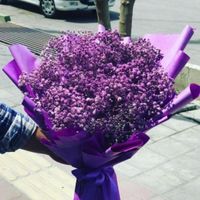 دسته گل ژیپسوفیلا سوپرایزی هدیه|گل و گیاه طبیعی|تهران, جمهوری|دیوار