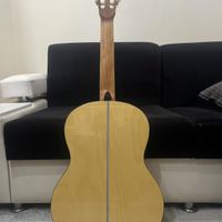 گیتار بست فان ۱۶۰|گیتار، بیس و امپلیفایر|تهران, علی‌آباد|دیوار