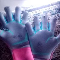استوک و دستکش فوتبال اورجینال آدیداس|تجهیزات ورزشی|تهران, اکباتان|دیوار