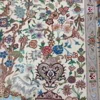 فرش دستباف نقشه زیبا و|فرش|مشهد, کاشمر|دیوار