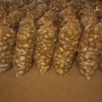 سیب زمینی آگریا|خوردنی و آشامیدنی|تهران, اکباتان|دیوار