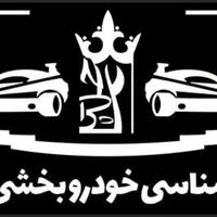 کارشناسی خودرو فنی و بدنه|خدمات موتور و ماشین|تهران, هروی|دیوار
