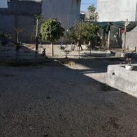 اجاره سویت حیاط دار با امکانات رفاهی|اجارهٔ کوتاه‌مدت آپارتمان و سوئیت|جم, |دیوار