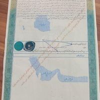 زمین مسکونی، سند تکبرگ، گورک کلبندی، چمن مصنوعی|فروش زمین و ملک کلنگی|بوشهر, |دیوار