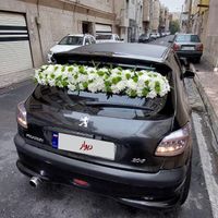۲۰۶ مدل ۸۱|خودرو سواری و وانت|تهران, باغ آذری|دیوار