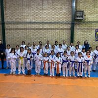 آموزش تخصصی کیوکوشین کاراته|خدمات آموزشی|گرمدره, |دیوار
