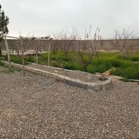 باغ ۱۰۰۰متری|فروش زمین و کلنگی|اصفهان, حسین‌آباد|دیوار