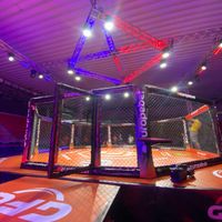 آموزش خصوصی حرفه ای ام ام ای MMA|خدمات آموزشی|تهران, خاقانی|دیوار