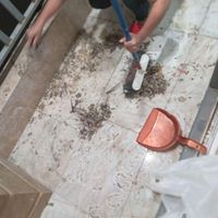 تمیزکاری راه پله .منزل .تمام ارگان ها|خدمات نظافت|تهران, سبلان|دیوار