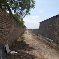 زمین باغی داری برق و آب سه قواره ۳۰۰ متری کوچه باغ|فروش زمین و کلنگی|جوادآباد, |دیوار