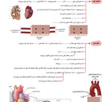 پکیج جامع کنکور تجربی اکادمی امروز پزشکیتو|کتاب و مجله آموزشی|تهران, سعادت‌آباد|دیوار