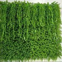 آویز شمشاد آکاردئون درخچه مصنوعی دیوار سبز|گل مصنوعی|تهران, حسن‌آباد باقرفر|دیوار