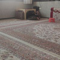 ست کامل فرش زمرد مشهد|فرش|سنقر, |دیوار