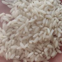 برنج عنبر بو دانه کامل|خوردنی و آشامیدنی|اهواز, بهارستان|دیوار