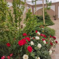 خانه باغ سنتی دلچسب|فروش خانه و ویلا|تهران, ولنجک|دیوار