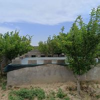 باغچه ۵۵۰ متری باغ ویلایی|فروش خانه و ویلا|مشهد, آبکوه|دیوار