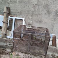 قفس فلزی جا دار|لوازم جانبی مربوط به حیوانات|قم, جمهوری|دیوار