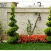 باغبانی و درخت کاری|خدمات باغبانی و درختکاری|یزد, |دیوار