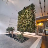مشاوره و ویزیت کارشناس گل و گیاه در محل|خدمات باغبانی و درختکاری|تهران, جردن|دیوار