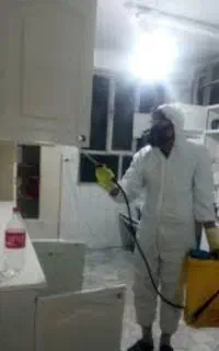 سمپاشی  کلیه حشرات سم پاشی سوسک ساس کنه زنبور موش