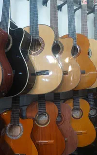 گیتار پالمر