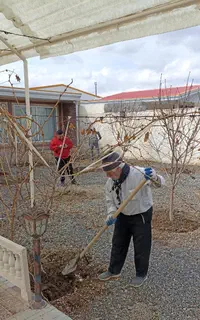خدمات فضای سبز و باغبانی(کاشت چمن ،علف زنی،سمپاشی)