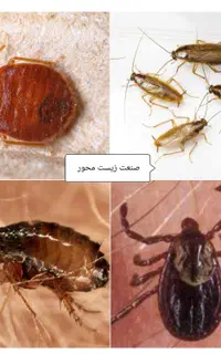 شرکت سمپاشی سوسک آلمانی ساس موریانه زدایی،سم پاشی