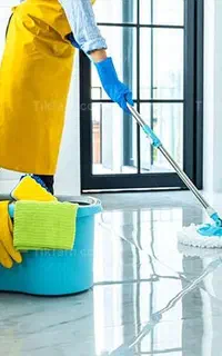 شرکت نظافتی آراد( تضمینی)