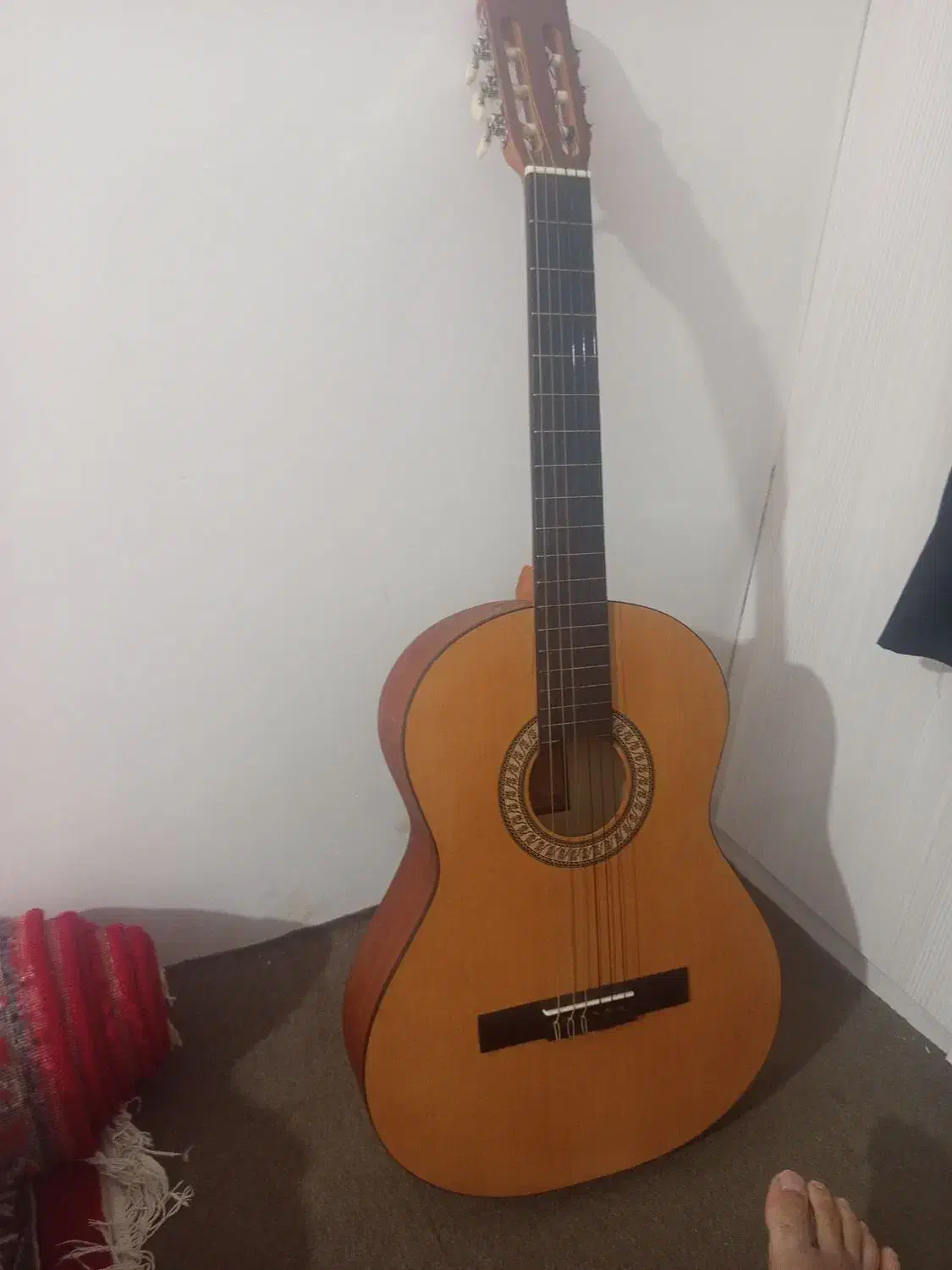 گیتار اکوستیک|گیتار، بیس، امپلیفایر|گنبد کاووس, |دیوار