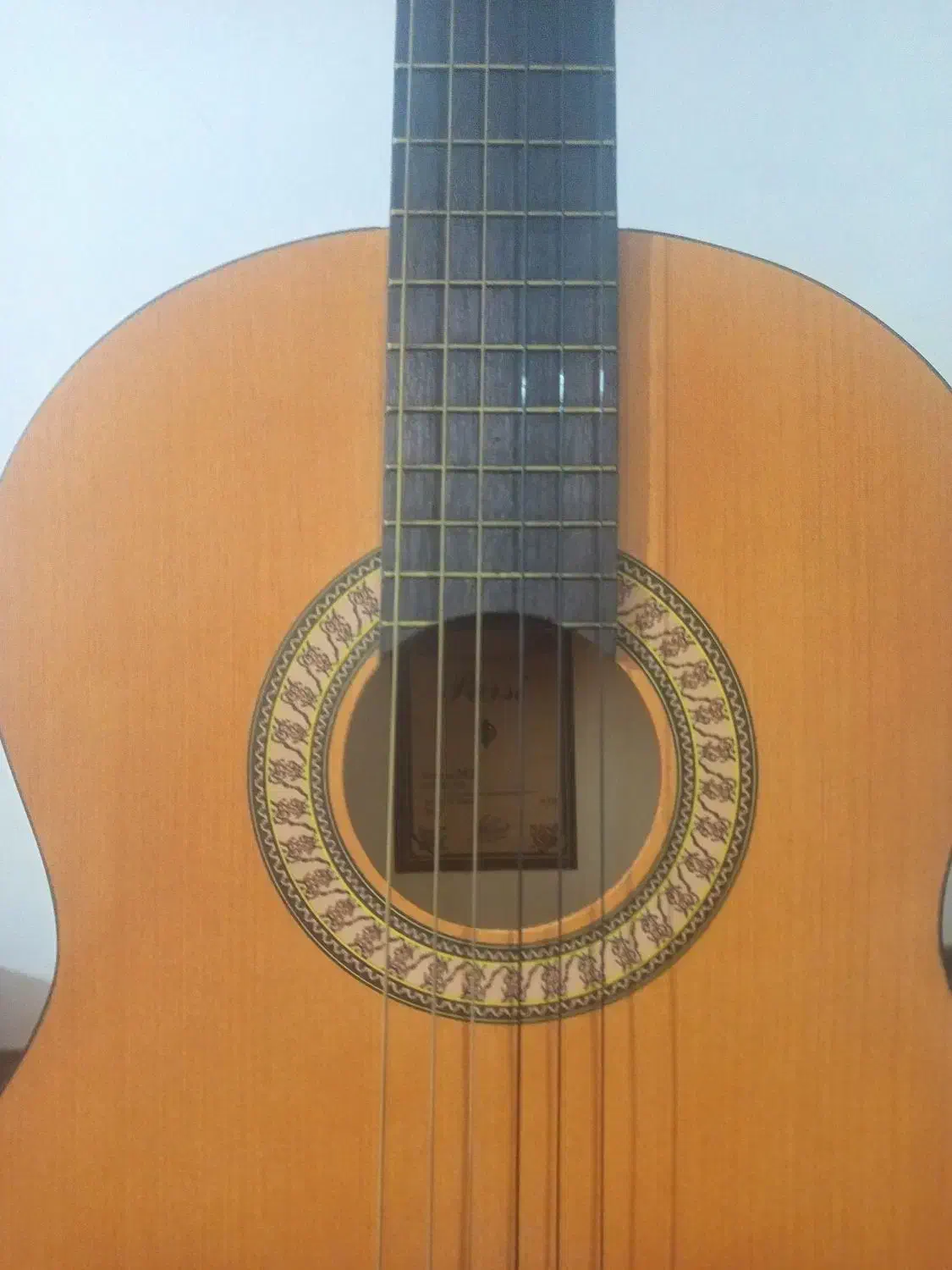 گیتار اکوستیک|گیتار، بیس، امپلیفایر|گنبد کاووس, |دیوار