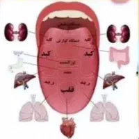 بانوی فعال میلیونر شو