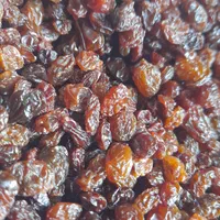انواع کشمش مخصوص