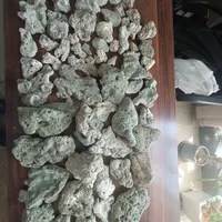 سنگ مرجانی اکواریوم ماهی