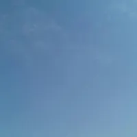 راهنمایی وکمک درکارهای منزل وکارهای شخصی..