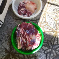 میش شیشک برهنر- ماده کشتاری|حیوانات مزرعه|بروجرد, |دیوار