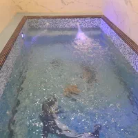 اجاره سوییت استخردار  برای مسافران  وهمشهریان عزیز|اجارهٔ کوتاه‌مدت آپارتمان و سوئیت|رشت, هلال احمر|دیوار