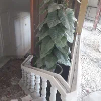 فقط نرده سنگی باربیکیو وابنما مجهز با لوازم کار.|مصالح و تجهیزات ساختمان|مشهد, توس (بلوار توس)|دیوار