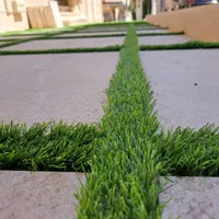 چمن مصنوعی نواری ۵ سانتی|مصالح و تجهیزات ساختمان|تبریز, |دیوار