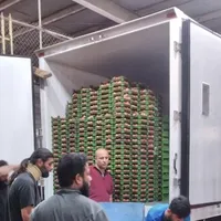 حمل بار یخچالی زیر صفر و بالای صفر|خدمات حمل و نقل|اهواز, شهرک نفت|دیوار