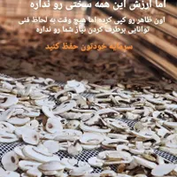 تولیدگران  دستگاه خشک کن میوه سبزی صنعتی خانگی|ماشین‌آلات صنعتی|کرمانشاه, |دیوار