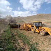 اجاره بیل بکهو بیل
