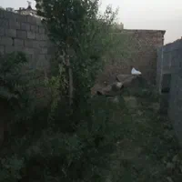 ملک دوردیوارحدودا ۷۰ متری در شهید آوینی۵۹|فروش خانه و ویلا|مشهد, شهید آوینی|دیوار