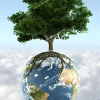 مرجع تخصصی مغازه تجاری حرم مطهر طبرسی/ نوروزی شجره